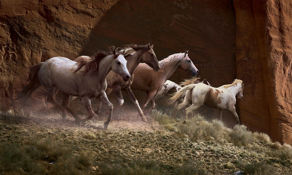 Red Rock Runners art print by Steve Hunziker for $57.95 CAD