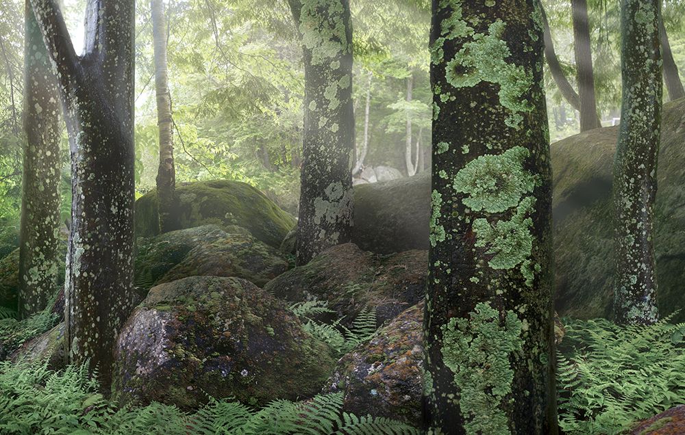 Clearing Ahead art print by Steve Hunziker for $57.95 CAD