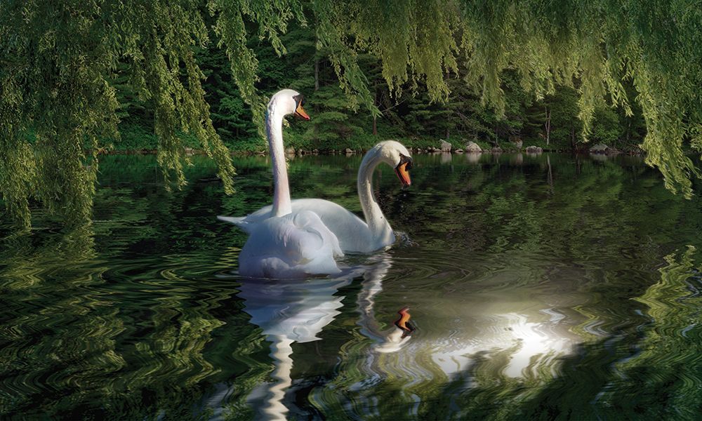 Enlighteners art print by Steve Hunziker for $57.95 CAD
