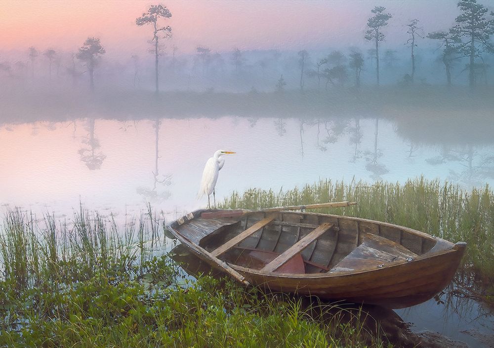 Aquatic Resters I art print by Steve Hunziker for $57.95 CAD