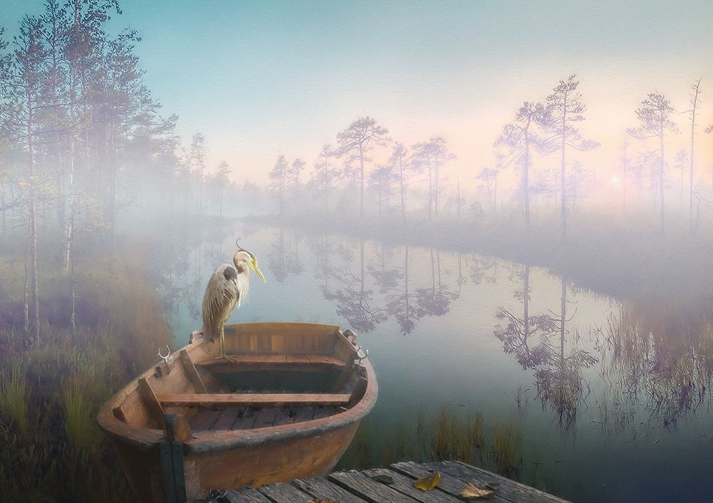 Aquatic Resters II art print by Steve Hunziker for $57.95 CAD