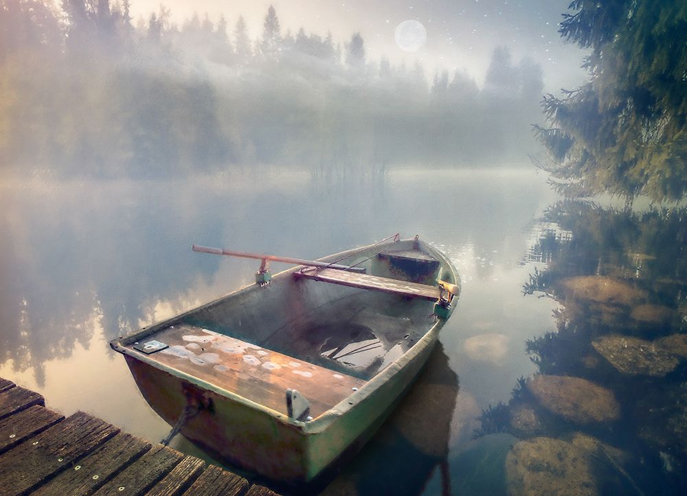 Aquatic Pondering IV art print by Steve Hunziker for $57.95 CAD