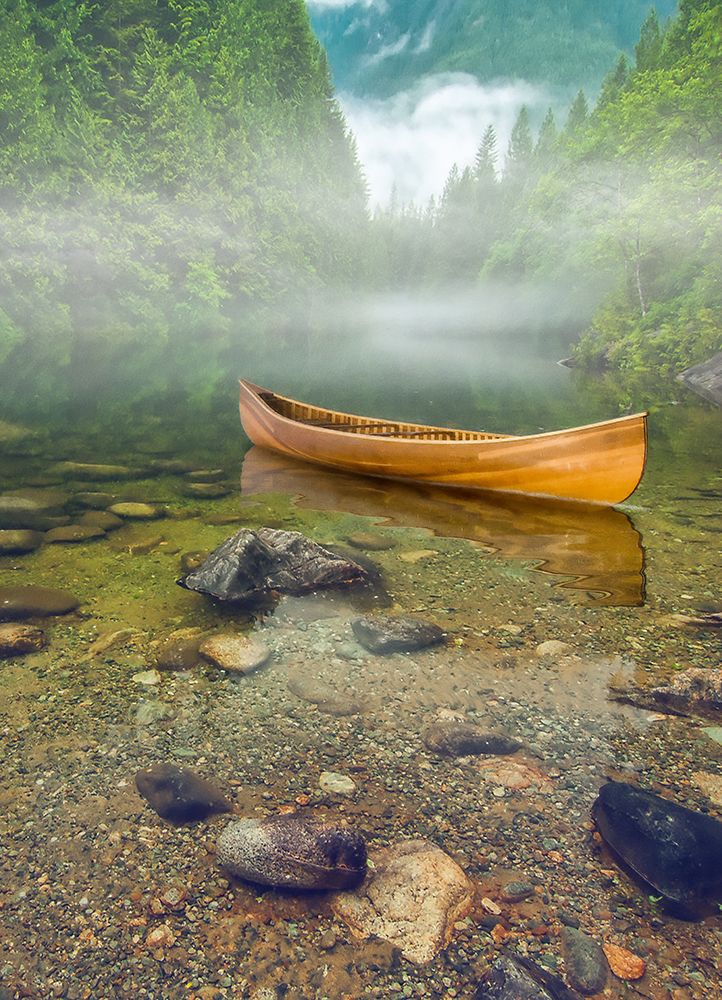 Aquatic Pondering VI art print by Steve Hunziker for $57.95 CAD