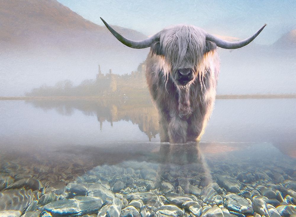 Bovine Highlander I art print by Steve Hunziker for $57.95 CAD