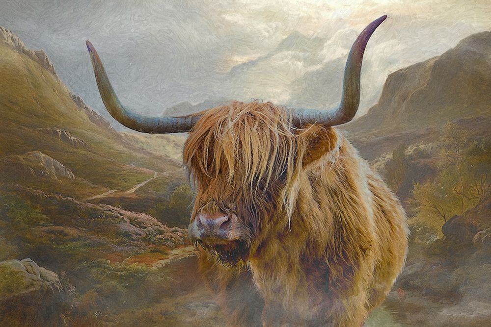 Bovine Highlander IV art print by Steve Hunziker for $57.95 CAD