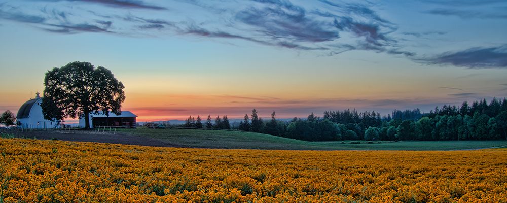 Sundown on the Farm art print by Don Schwartz for $57.95 CAD