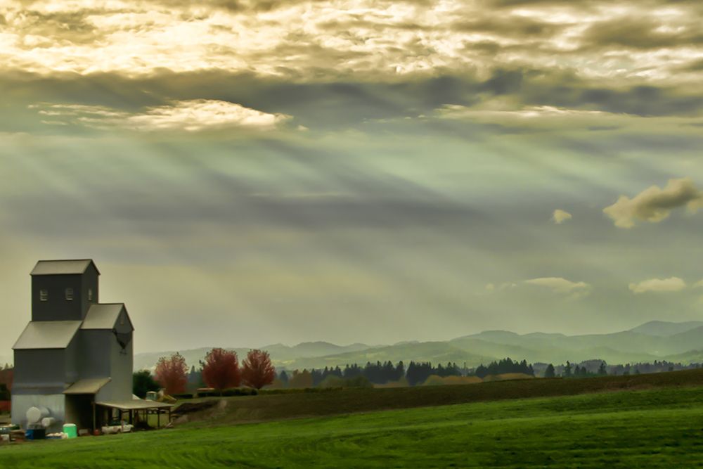 Wine Country Sunset art print by Don Schwartz for $57.95 CAD