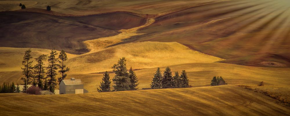 Idyllic Farm II art print by Don Schwartz for $57.95 CAD