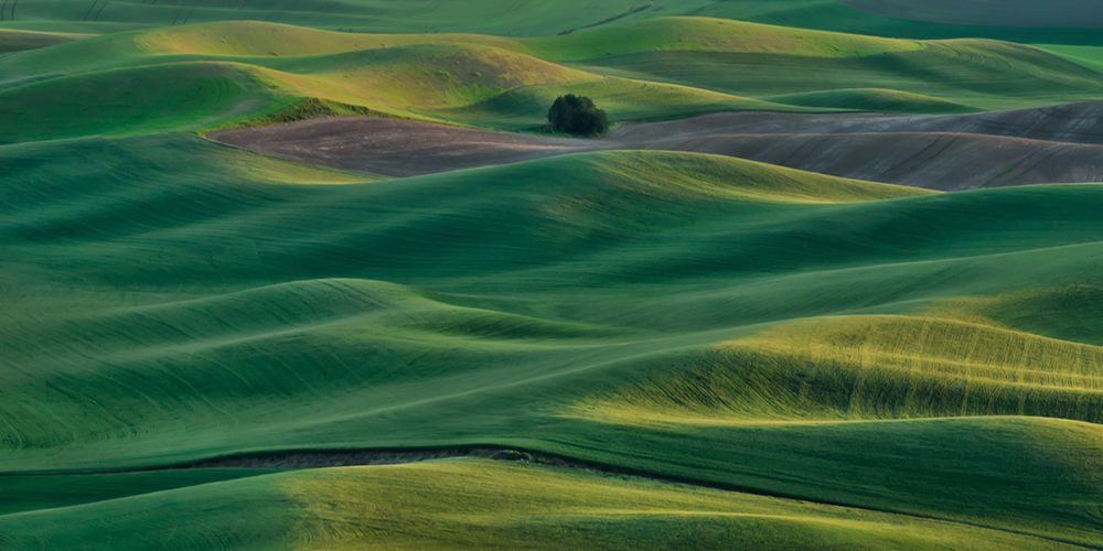 Layers of Light art print by Don Schwartz for $57.95 CAD
