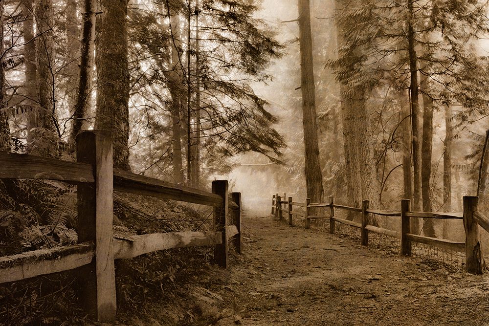 Down the Misty Path art print by Don Schwartz for $57.95 CAD