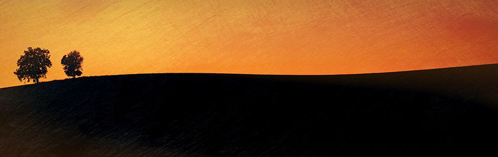 Two Trees at Sunset art print by Don Schwartz for $57.95 CAD