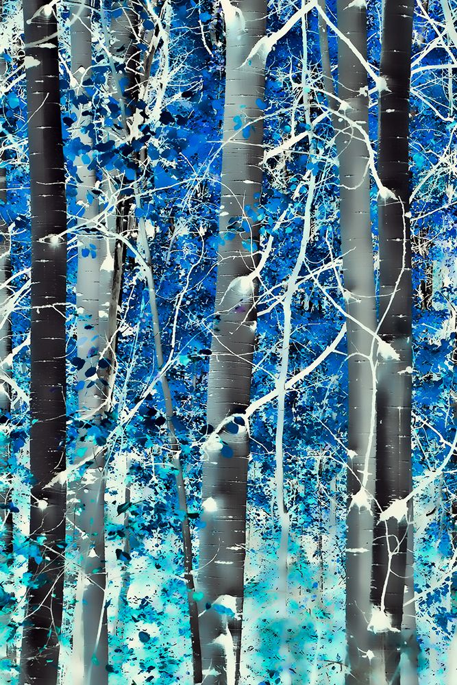 Dream Woods art print by Don Schwartz for $57.95 CAD