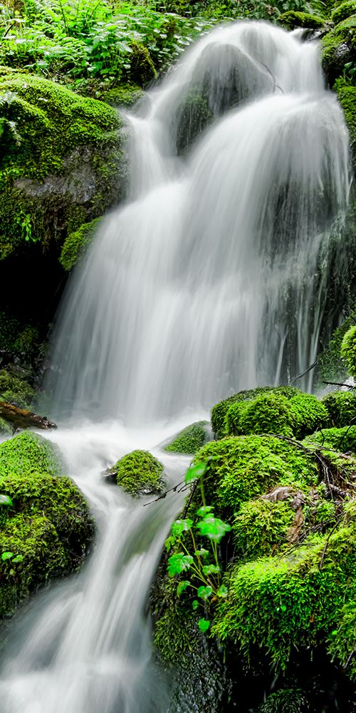 Exquisite Cascade art print by Don Schwartz for $57.95 CAD