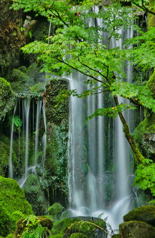 Silky Falls art print by Don Schwartz for $57.95 CAD