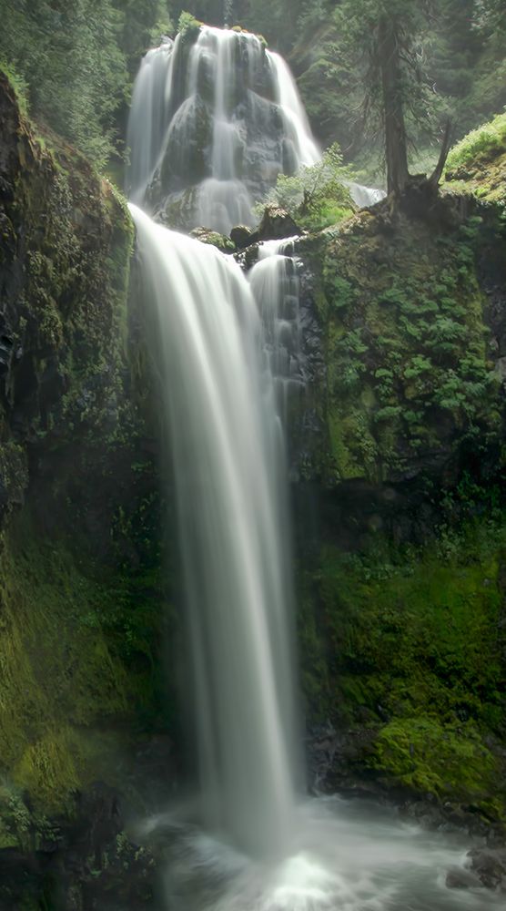 Transcent Falls art print by Don Schwartz for $57.95 CAD