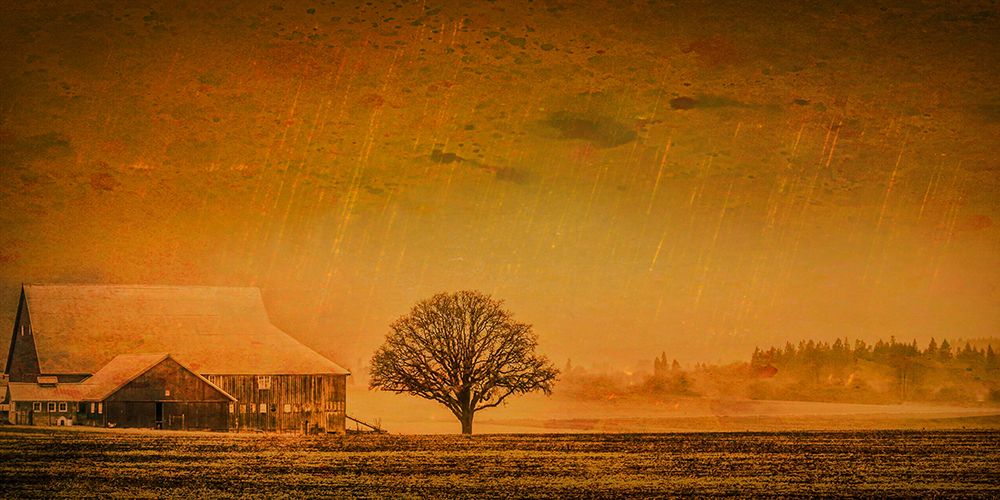 Pastoral Barn art print by Don Schwartz for $57.95 CAD