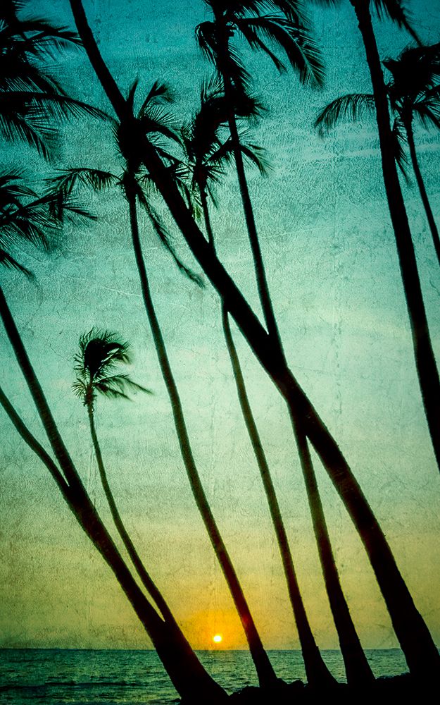 Tilting Palms art print by Don Schwartz for $57.95 CAD