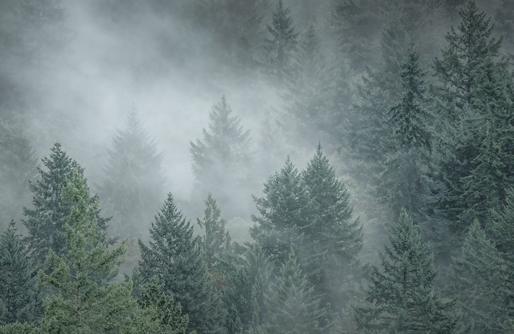 Draped in Clouds art print by Don Schwartz for $57.95 CAD