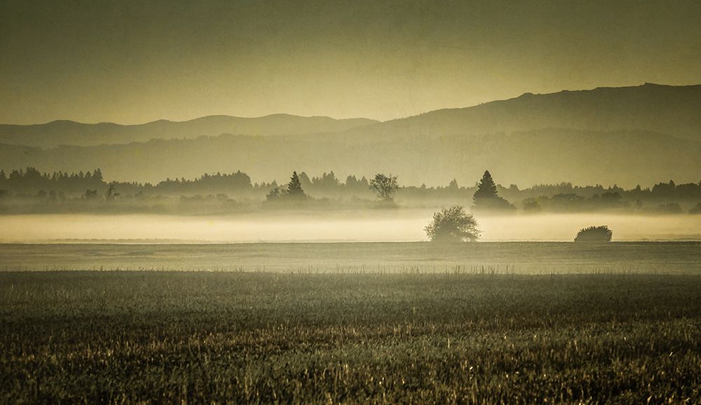 Dawns Early Light art print by Don Schwartz for $57.95 CAD