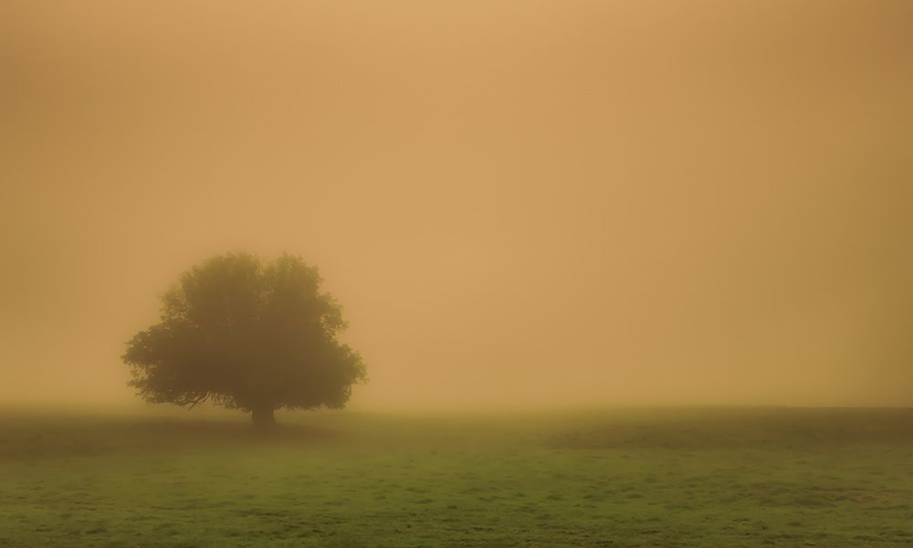 Silent and Still I art print by Don Schwartz for $57.95 CAD