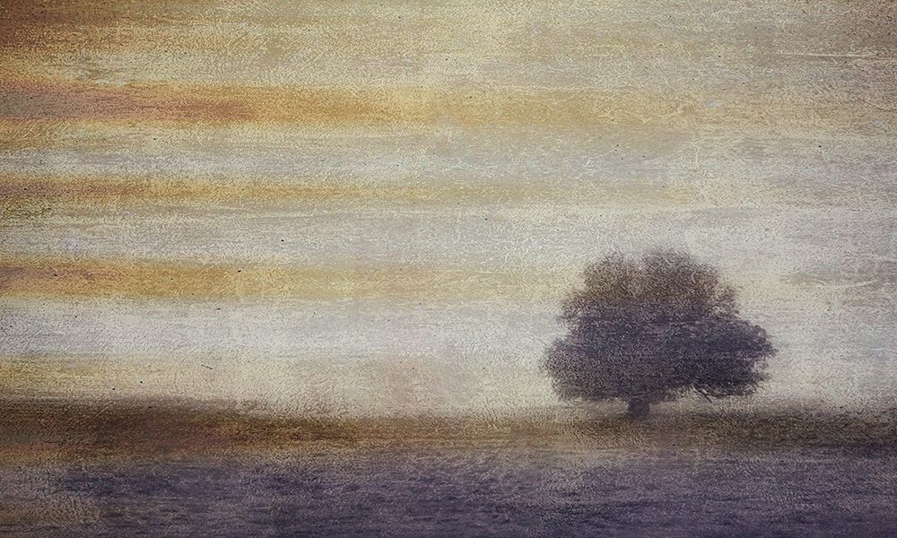Silent and Still II art print by Don Schwartz for $57.95 CAD