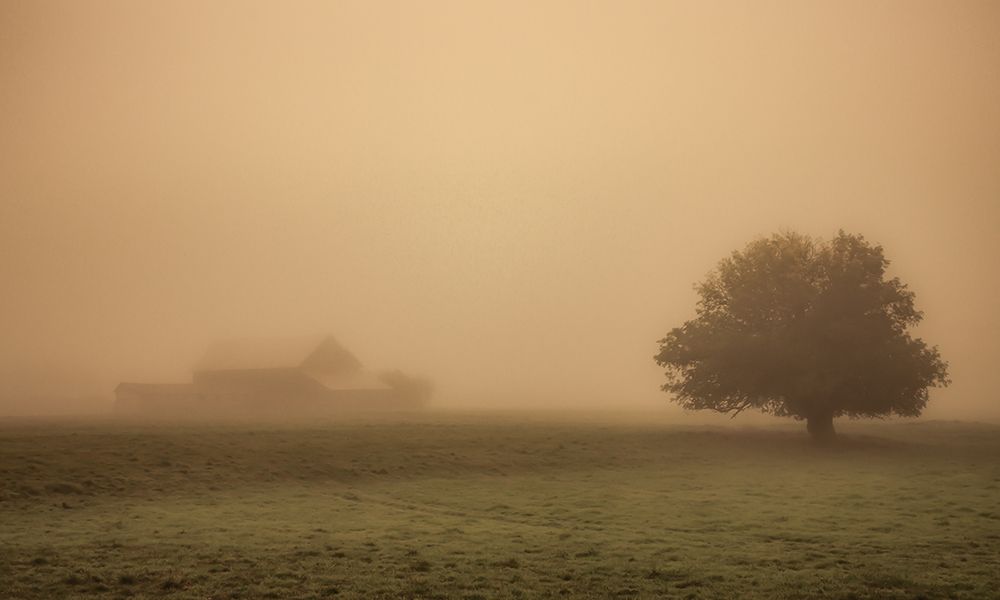 Foggy Barn art print by Don Schwartz for $57.95 CAD
