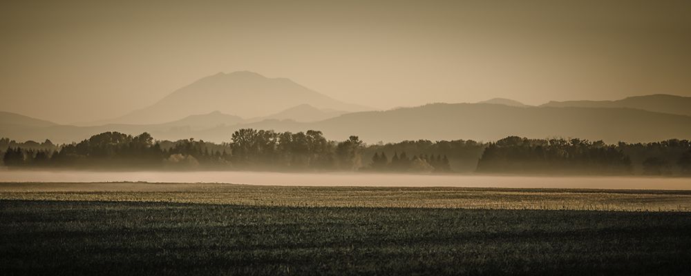 Sauvie Island Serenity art print by Don Schwartz for $57.95 CAD
