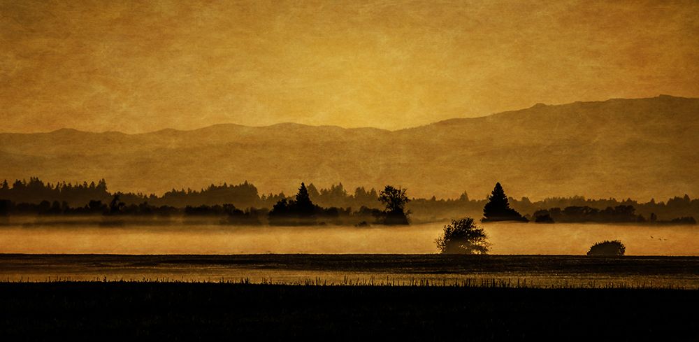 Soft Blanket of Fog art print by Don Schwartz for $57.95 CAD