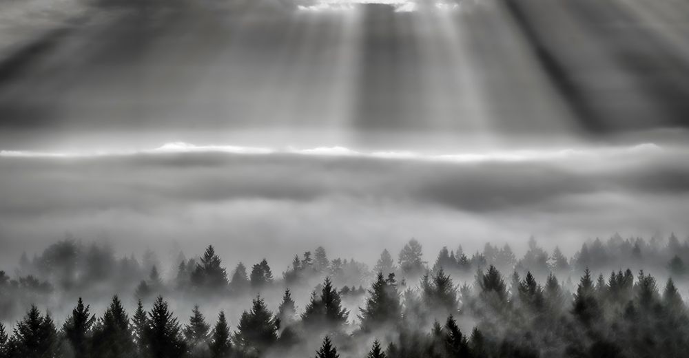 Heavenly Light art print by Don Schwartz for $57.95 CAD