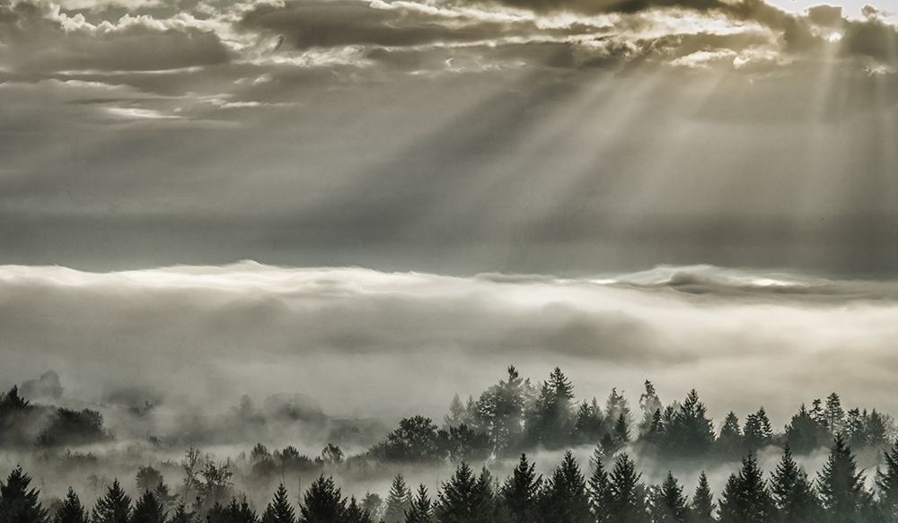 Slanting Rays art print by Don Schwartz for $57.95 CAD