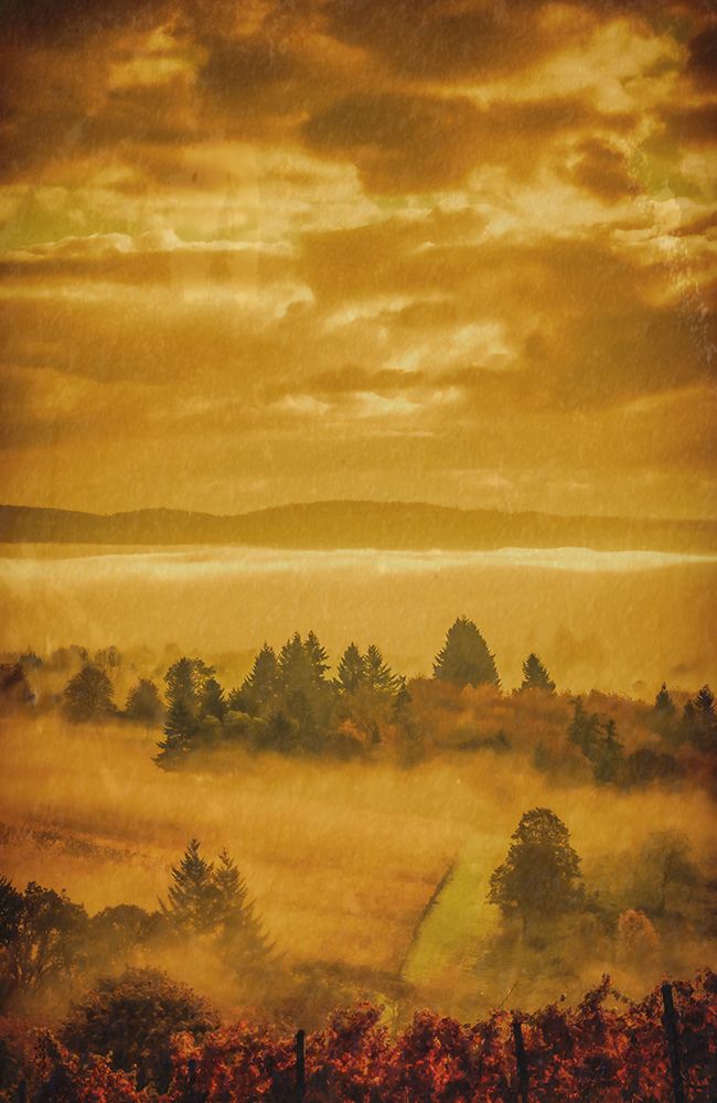 Valley View art print by Don Schwartz for $57.95 CAD