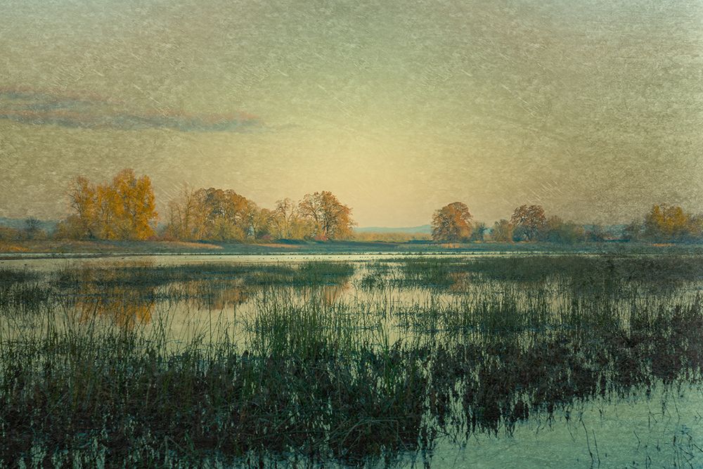 Wetlands art print by Don Schwartz for $57.95 CAD