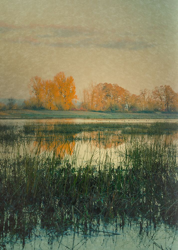 Autumn Wetlands art print by Don Schwartz for $57.95 CAD