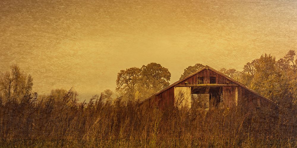 Barn Smothered By Tall Grasses art print by Don Schwartz for $57.95 CAD