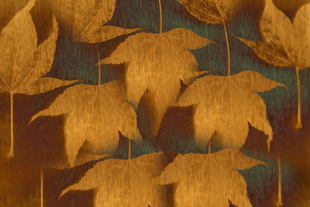 Collection of Leaves art print by Don Schwartz for $57.95 CAD
