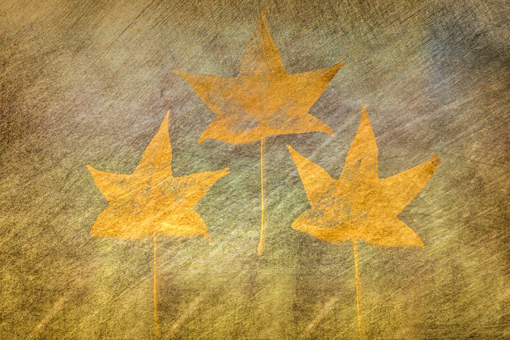 Three Golden Leaves art print by Don Schwartz for $57.95 CAD