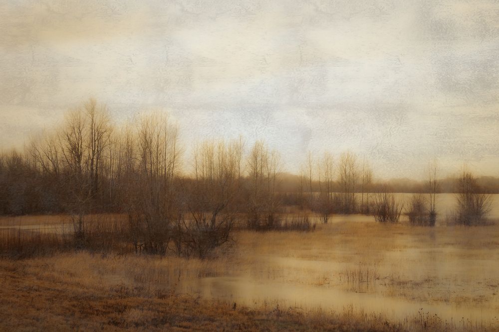 Marshland art print by Don Schwartz for $57.95 CAD