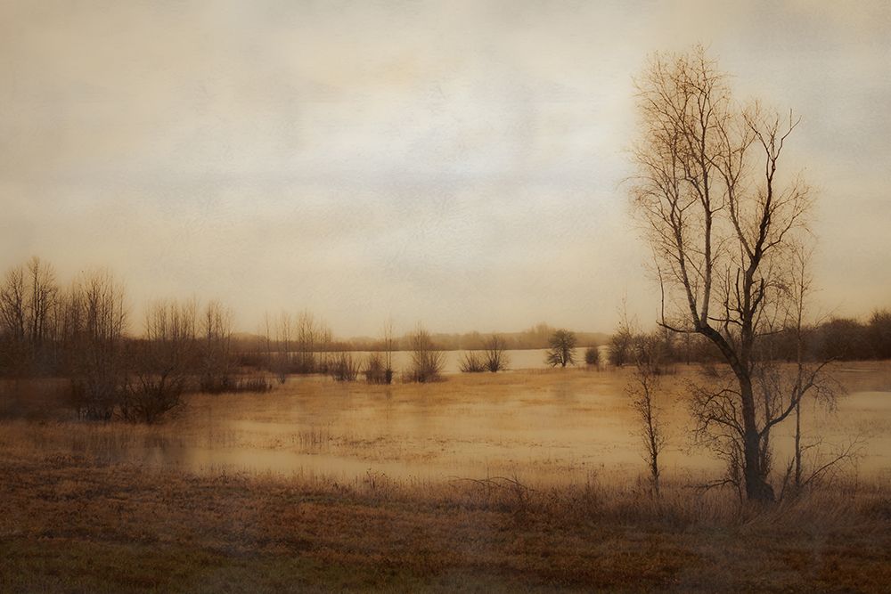 Tree Along the Marsh art print by Don Schwartz for $57.95 CAD