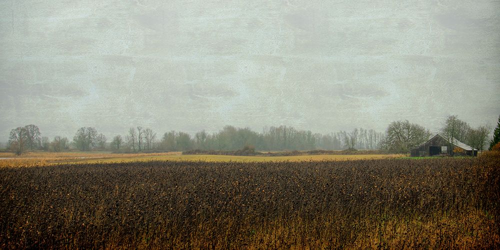 Rustic Barn on a Rainy Day art print by Don Schwartz for $57.95 CAD