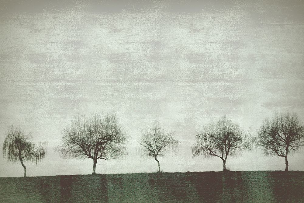 Single File art print by Don Schwartz for $57.95 CAD