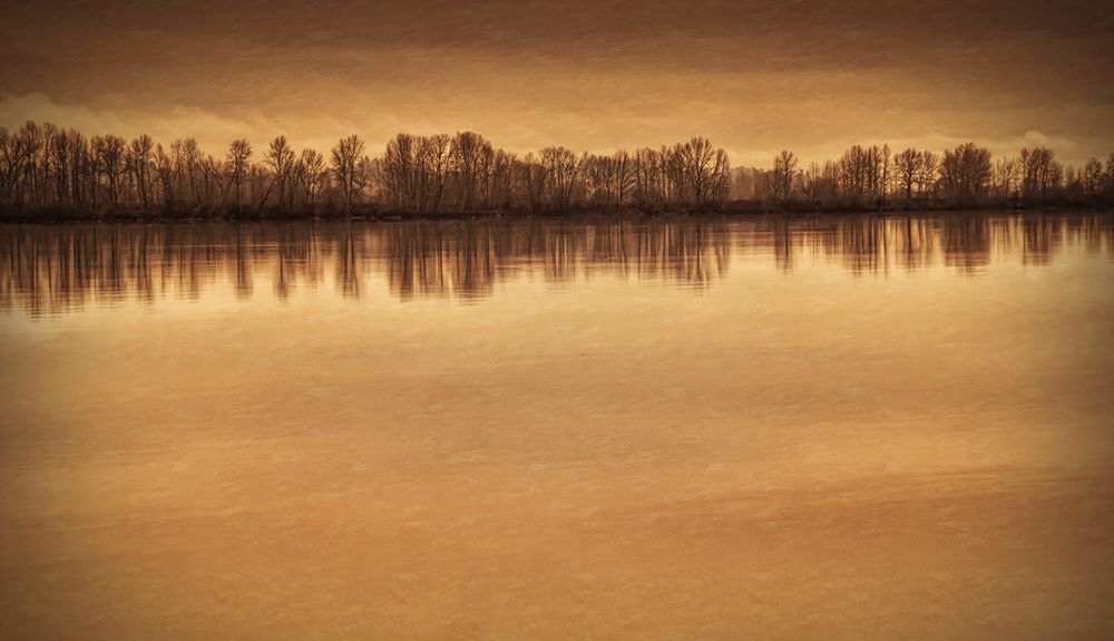 Trees Along the River art print by Don Schwartz for $57.95 CAD