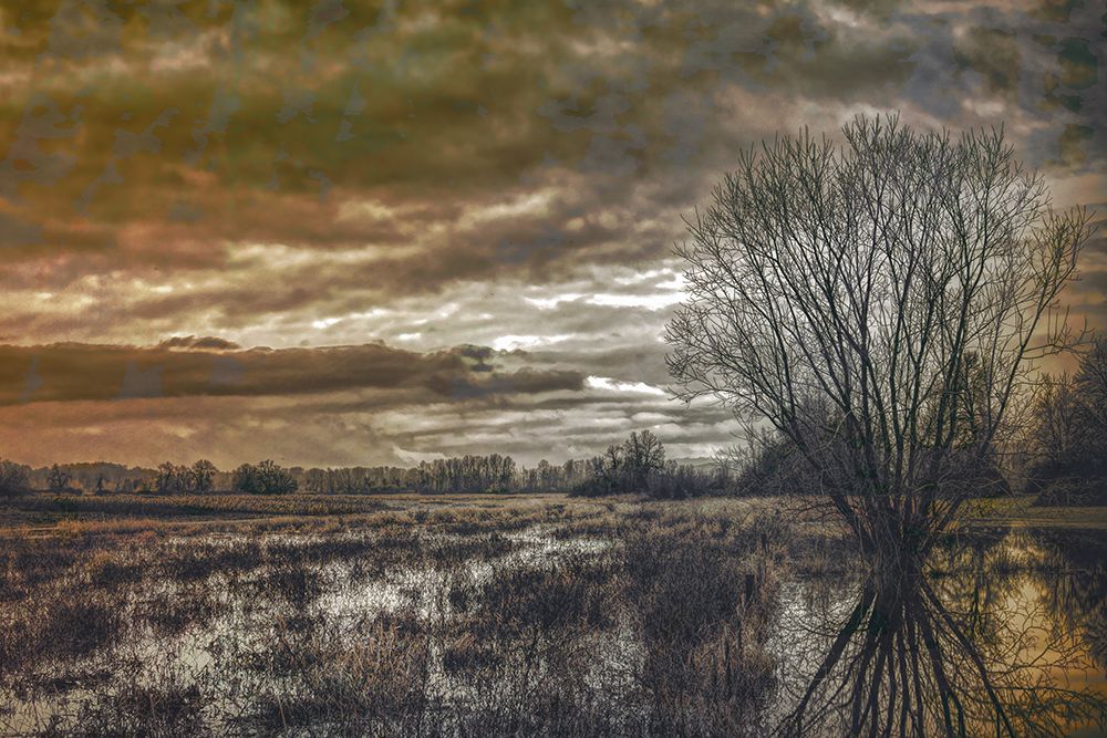 Winter Solitude art print by Don Schwartz for $57.95 CAD