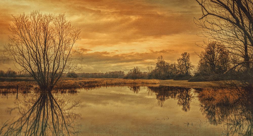 Winter Pond art print by Don Schwartz for $57.95 CAD