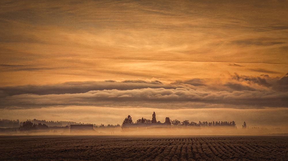 Awakening art print by Don Schwartz for $57.95 CAD