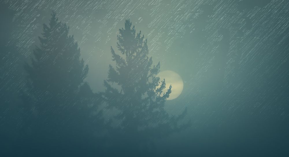 Sunrise in the Fog art print by Don Schwartz for $57.95 CAD