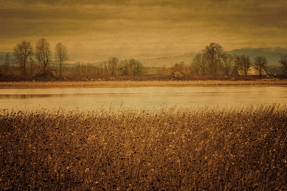 Across the Field and Pond art print by Don Schwartz for $57.95 CAD