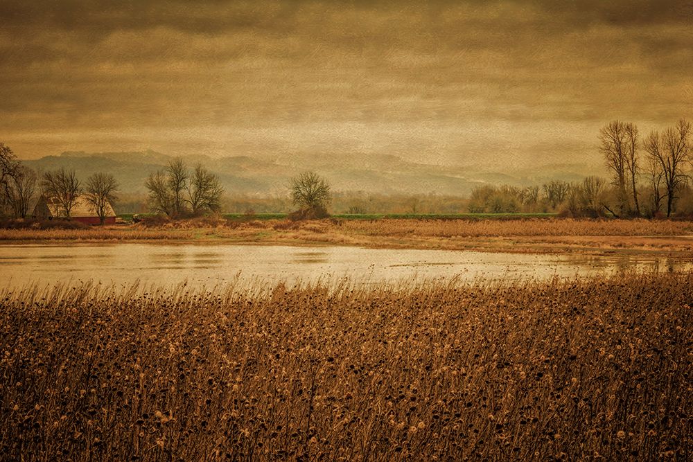 Little Barn Across the Pond art print by Don Schwartz for $57.95 CAD