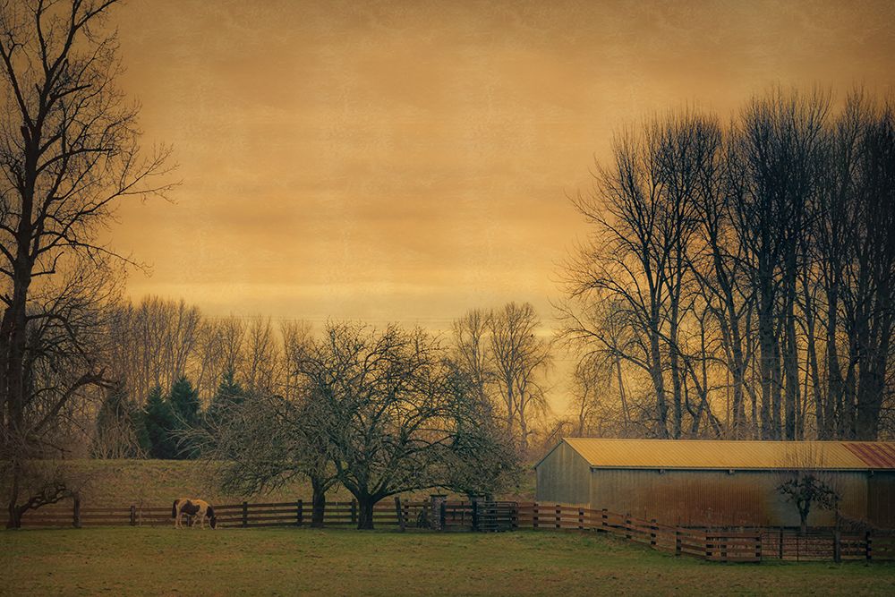 In the Pasture art print by Don Schwartz for $57.95 CAD