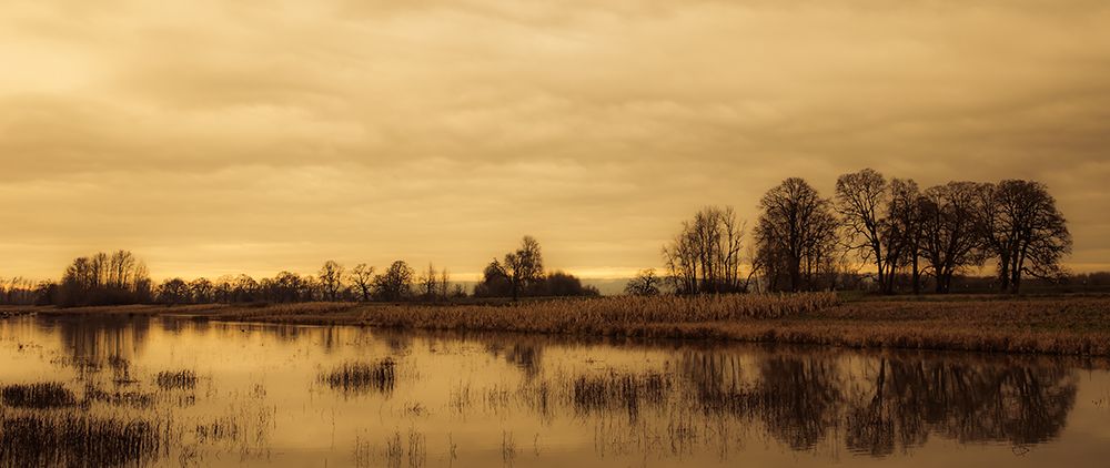 Row of Trees Along the Pond art print by Don Schwartz for $57.95 CAD