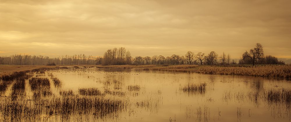 Wetland Expanse art print by Don Schwartz for $57.95 CAD